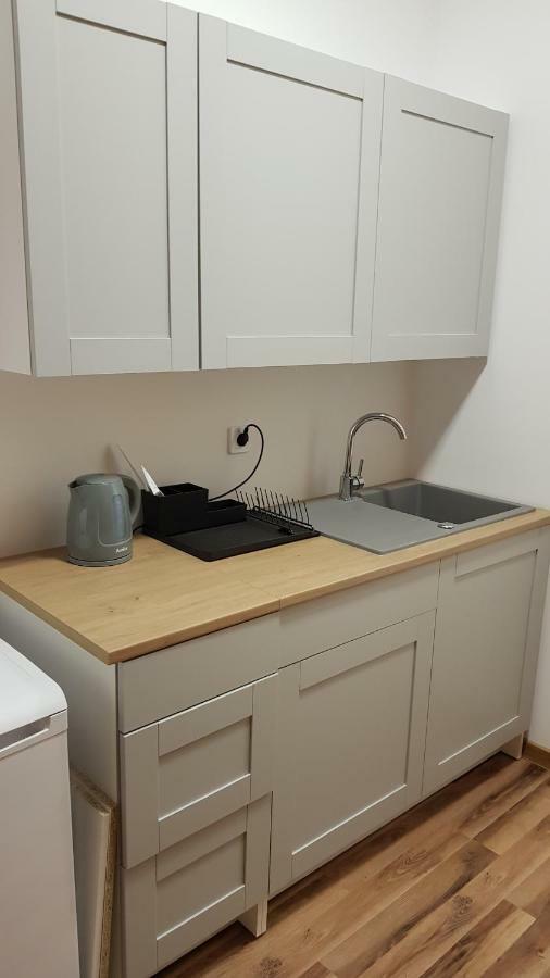 Apartament Nr 15 - 2 Pokoje Z Prywatnymi Lazienkami Centrum Poznan Apartman Kültér fotó